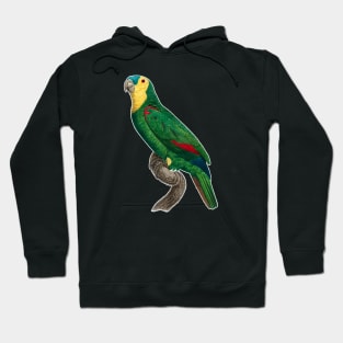 Green parrot Hoodie